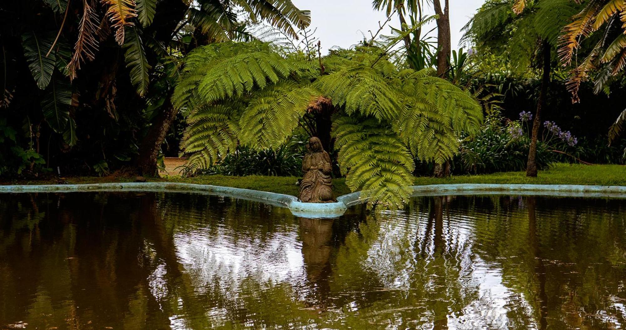 Апарт отель Quinta Da Nasce Agua Ангра-ду-Эроижму Экстерьер фото